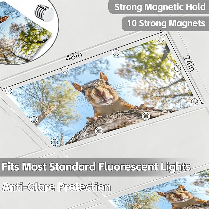 4 Pack 2x4 FT Magnetic Fluorescent Light Covers, Ceiling Light Filters for Classroom Office Home Hospital, Easy Install Decorative Drop Ceiling Panels