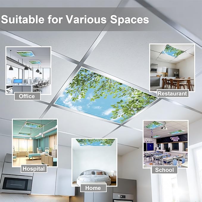 4 Pack 2x4 FT Magnetic Fluorescent Light Covers, Ceiling Light Filters for Classroom Office Home Hospital, Easy Install Decorative Drop Ceiling Panels