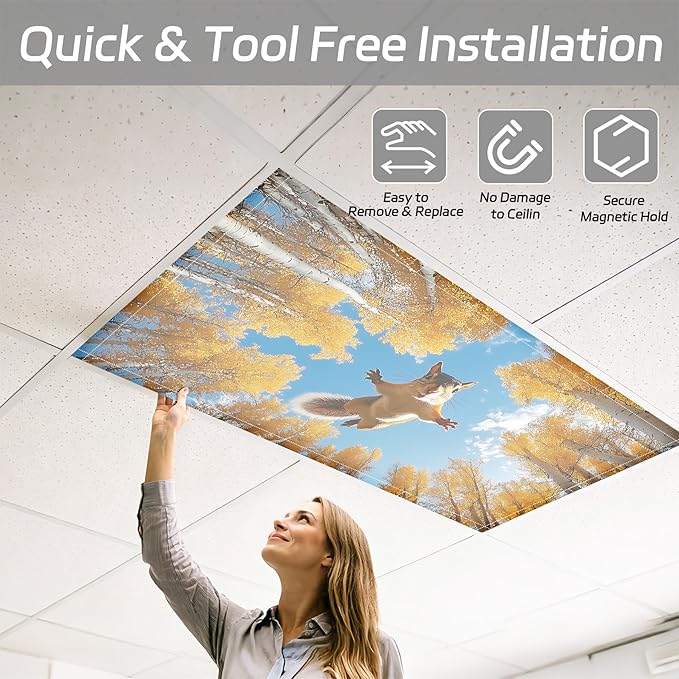4 Pack 2x4 FT Magnetic Fluorescent Light Covers, Ceiling Light Filters for Classroom Office Home Hospital, Easy Install Decorative Drop Ceiling Panels