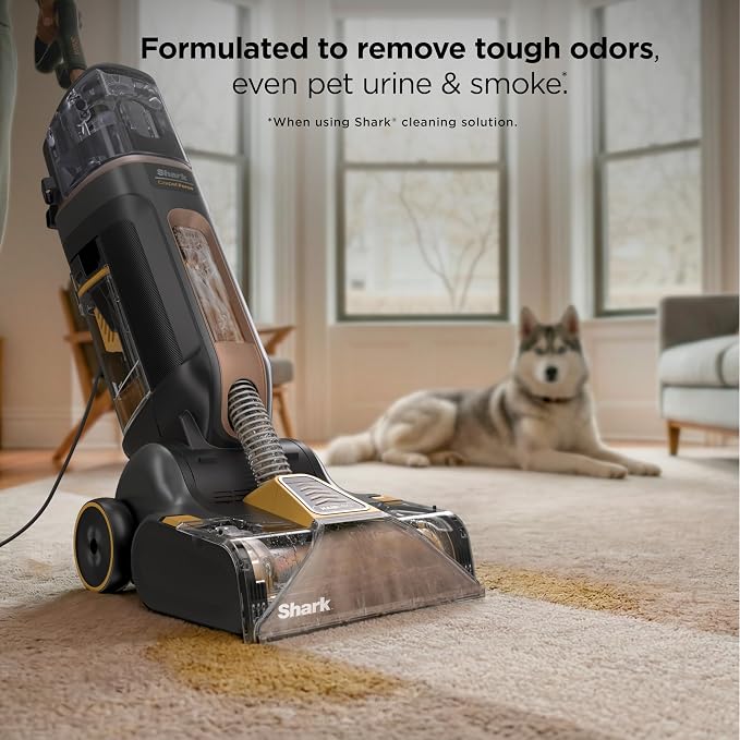 Shark CarpetForce Ultra Upright Carpet Cleaner with HairPro, PowerFins Brushroll, Two Cleaning Modes, Deep Clean Ultra Solution, Powerful Stain and Odor Removal, Copper, EX551