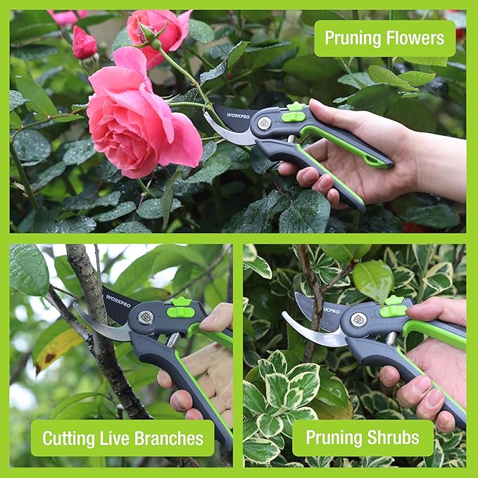 WORKPRO Bypass Pruning Shears for Gardening, 8" Garden Scissors with Dual-Size Opening for Thin & Thick Branches, Garden Clippers with Sharp SK5 Steel Blades for Pruning, Cutting and Fruit Picking