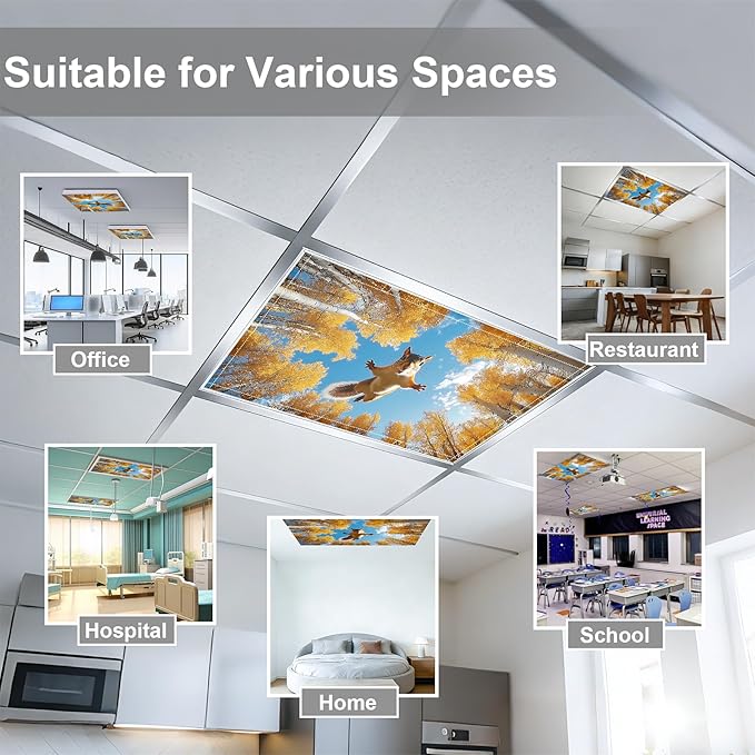 4 Pack 2x4 FT Magnetic Fluorescent Light Covers, Ceiling Light Filters for Classroom Office Home Hospital, Easy Install Decorative Drop Ceiling Panels