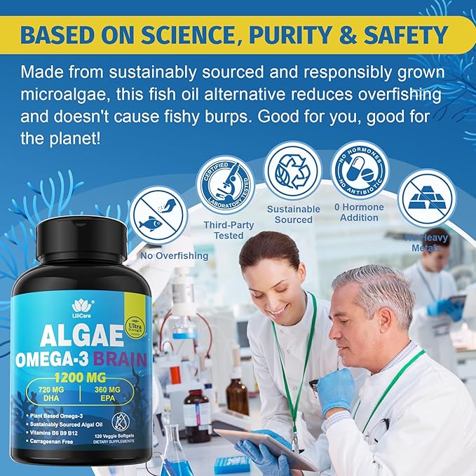 Vegan Omega 3 Supplement, Plant-Based Omega 3 DHA EPA w/Methylated B12, B6, B9, Vitamin E, Bacopa Monnieri, Ginkgo Biloba, 240cts Algae Oil Omega-3 Supplement for Brain, No Fish Taste, Non GMO, 2Pack