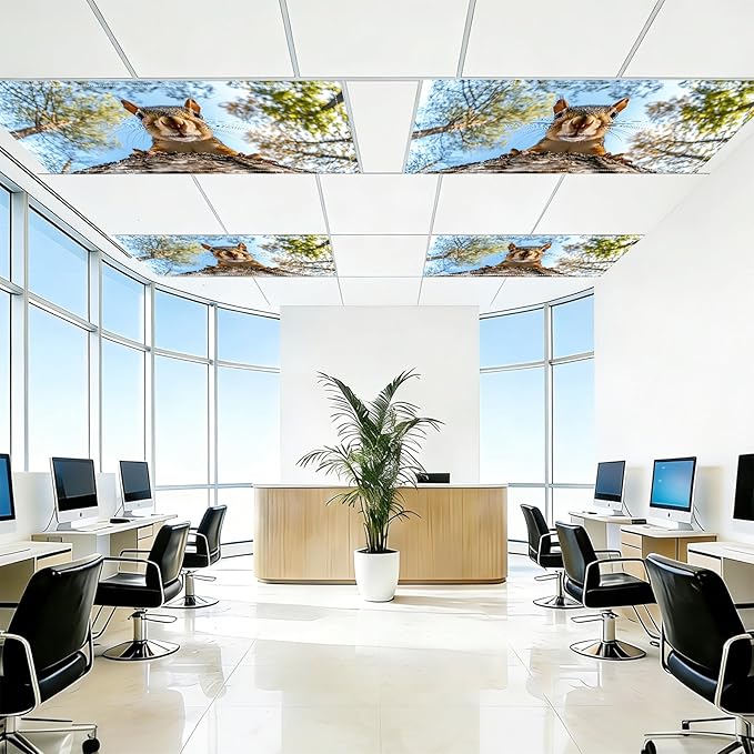 4 Pack 2x4 FT Magnetic Fluorescent Light Covers, Ceiling Light Filters for Classroom Office Home Hospital, Easy Install Decorative Drop Ceiling Panels