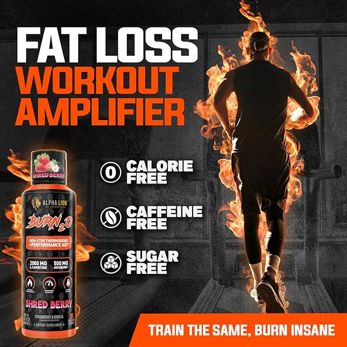 ALPHA LION Burn2O L-Carnitine Liquid 2000mg, Premium Liquid Fat Burner & Pre-Workout Supplement for Men & Women - Natural Energy & Metabolism Booster for Weight Loss - ShredBerry