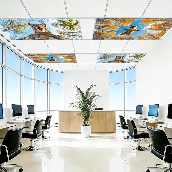 4 Pack 2x4 FT Magnetic Fluorescent Light Covers, Ceiling Light Filters for Classroom Office Home Hospital, Easy Install Decorative Drop Ceiling Panels