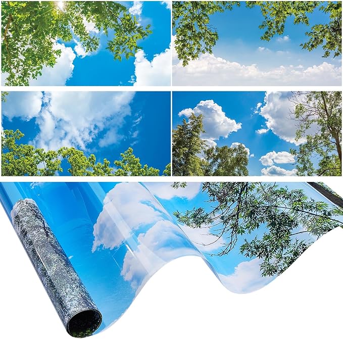 Amylove 4 Pcs Fluorescent Light Covers Classroom Ceiling Panels Light Filters with Backlit Film Material for Office School, 4 x 2 Feet(Charming Color,Blue Sky, Leaves)