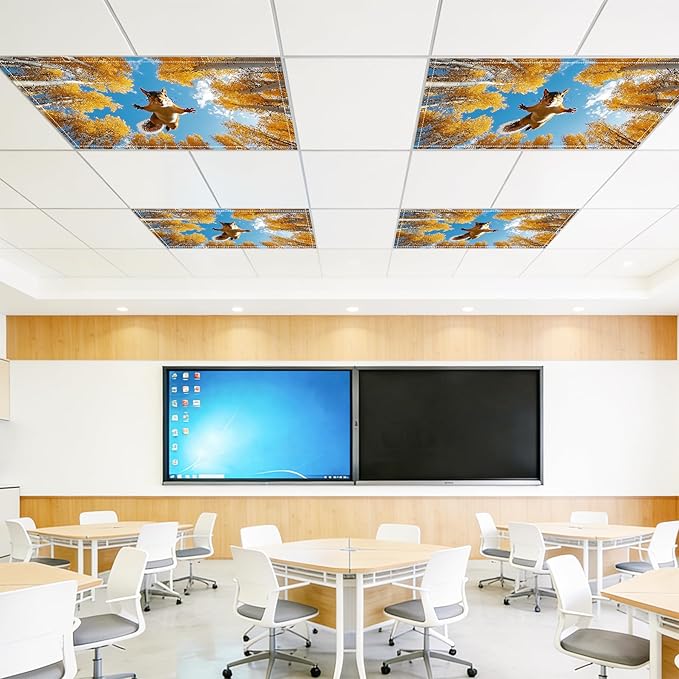 4 Pack 2x4 FT Magnetic Fluorescent Light Covers, Ceiling Light Filters for Classroom Office Home Hospital, Easy Install Decorative Drop Ceiling Panels
