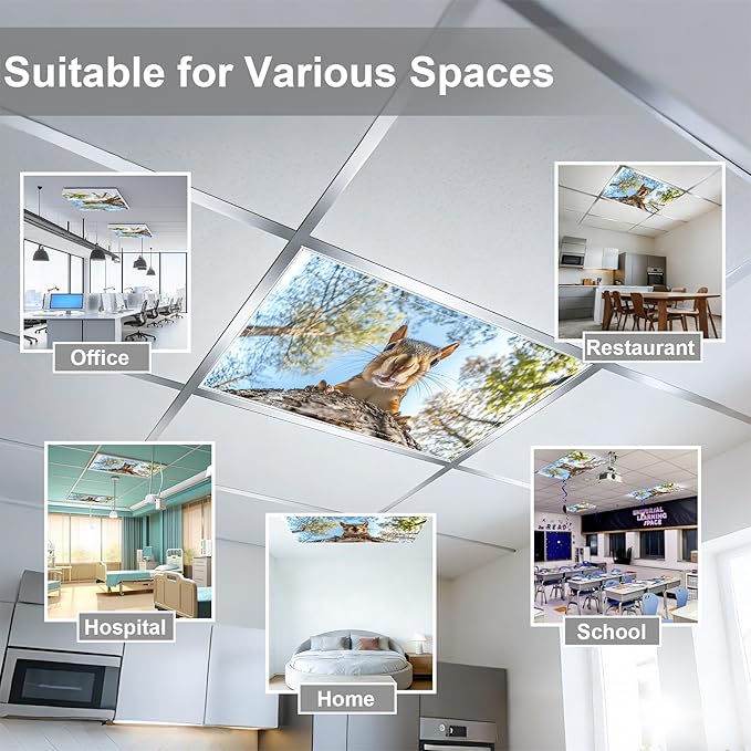 4 Pack 2x4 FT Magnetic Fluorescent Light Covers, Ceiling Light Filters for Classroom Office Home Hospital, Easy Install Decorative Drop Ceiling Panels
