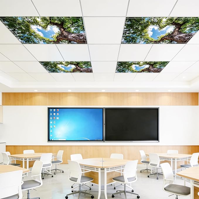 4 Pack 2x4 FT Magnetic Fluorescent Light Covers, Ceiling Light Filters for Classroom Office Home Hospital, Easy Install Decorative Drop Ceiling Panels