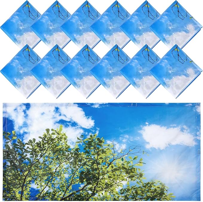 Hortsun 12 Pcs Fluorescent Light Covers Bulk, 4 x 2 ft Magnetic Fluorescent Drop Ceiling Lighting Covers Light Filter Shade for Home, Office, Hospital, School Classroom Decoration(Sky and Leaves)