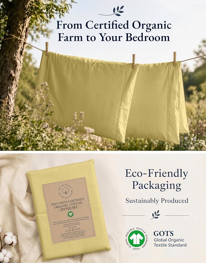 LANE LINEN Twin XL Fitted Sheet, 100% Organic Cotton 2-Piece Set (1 Fitted Sheet, 1 Pillowcase), Percale Weave, Bottom Sheet, Soft, Breathable, Fits Mattress Upto 15" Deep - Cocoon (No Flat Sheet)