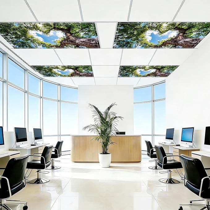 4 Pack 2x4 FT Magnetic Fluorescent Light Covers, Ceiling Light Filters for Classroom Office Home Hospital, Easy Install Decorative Drop Ceiling Panels