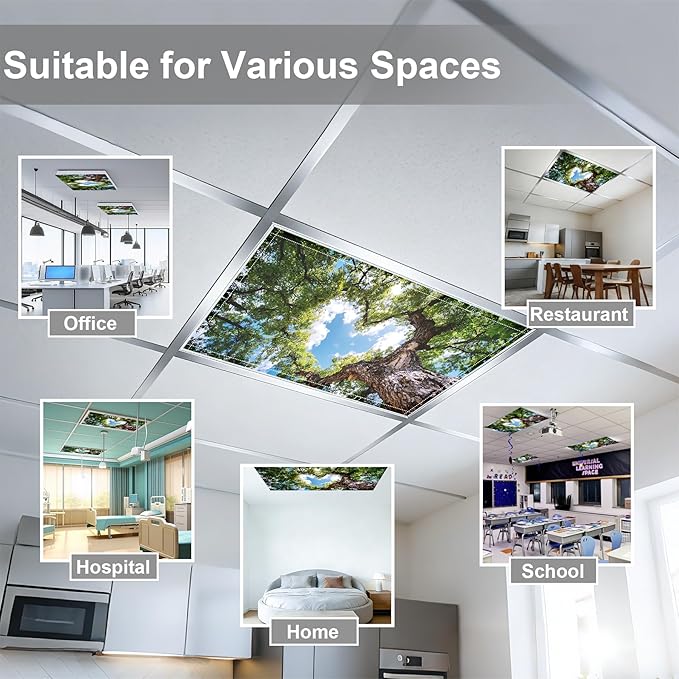 4 Pack 2x4 FT Magnetic Fluorescent Light Covers, Ceiling Light Filters for Classroom Office Home Hospital, Easy Install Decorative Drop Ceiling Panels