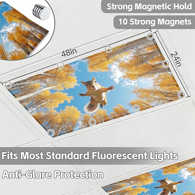 4 Pack 2x4 FT Magnetic Fluorescent Light Covers, Ceiling Light Filters for Classroom Office Home Hospital, Easy Install Decorative Drop Ceiling Panels
