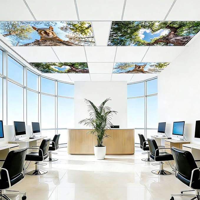 4 Pack 2x4 FT Magnetic Fluorescent Light Covers, Ceiling Light Filters for Classroom Office Home Hospital, Easy Install Decorative Drop Ceiling Panels
