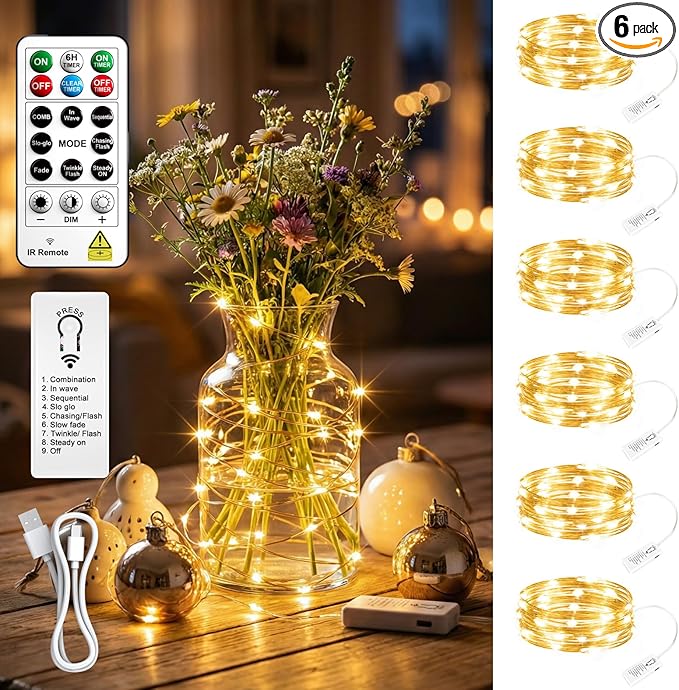 6 Pack Rechargeable Fairy Lights with Remote & DIY Timer, 7ft 20LED Dimmable Silver Wire String Light for Mason Jar, Mini Twinkle Lights for Indoor Christmas Bedroom Wedding Decor, Warm White