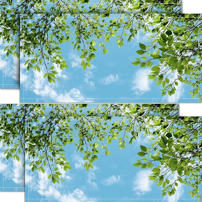 4 Pack 2x4 FT Magnetic Fluorescent Light Covers, Ceiling Light Filters for Classroom Office Home Hospital, Easy Install Decorative Drop Ceiling Panels