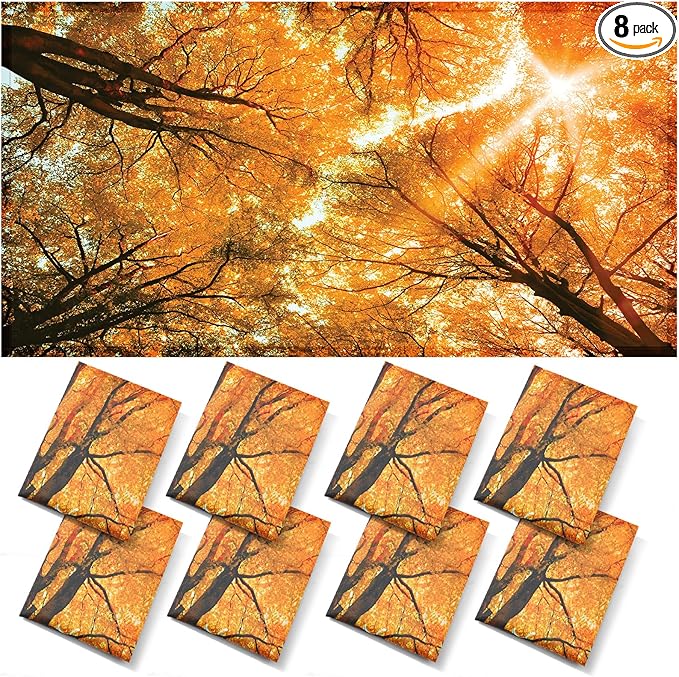 ANGSYLTH 8 Pcs Fluorescent Light Covers - 4 x 2 Feet Covers for Ceiling Lights, 8 x 10 Magnetic Light Filters for Classroom, Office, Hospitals (Autumn & Sunset)