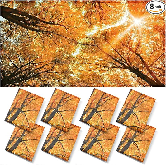 ANGSYLTH 8 Pcs Fluorescent Light Covers - 4 x 2 Feet Covers for Ceiling Lights, 8 x 10 Magnetic Light Filters for Classroom, Office, Hospitals (Autumn & Sunset)