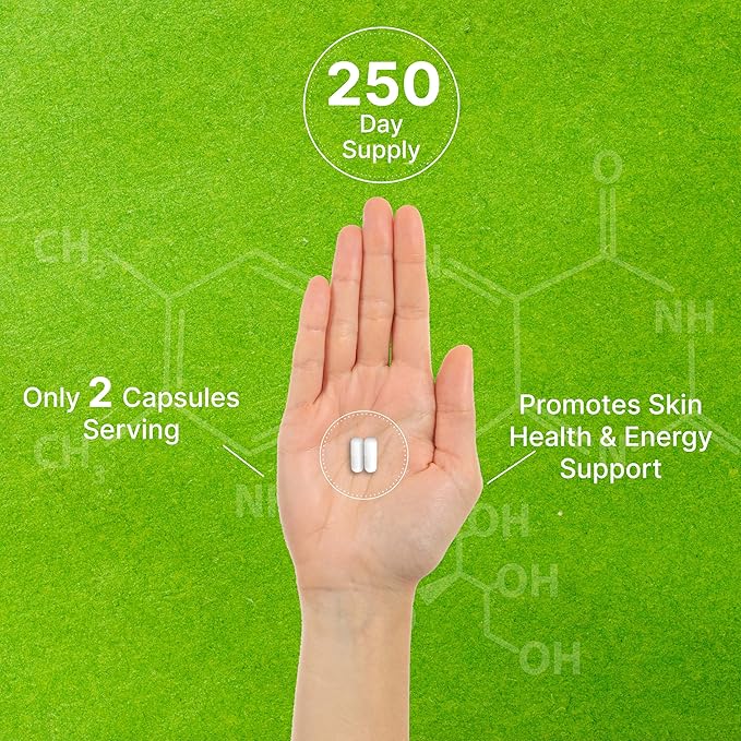 Vitamine B3 Niacinamide 1 000 mg par dose – 500 gélules, Niacine sans rougeurs, B3 essentielle – Soutient la santé de la peau et la production d'énergie – Sans OGM