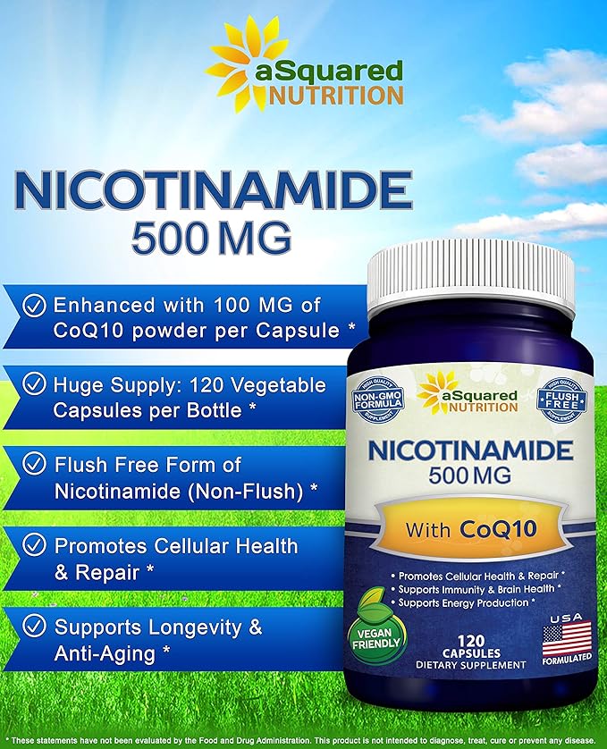 ニコチンアミド CoQ10配合 (120カプセル) - ビタミンB3 500mg (ナイアシンアミド フラッシュフリー) - コエンザイムQ10パウダー - エネルギー、NAD、皮膚細胞の健康をサポートするVIT B-3 & Coq 10 サプリメント錠剤