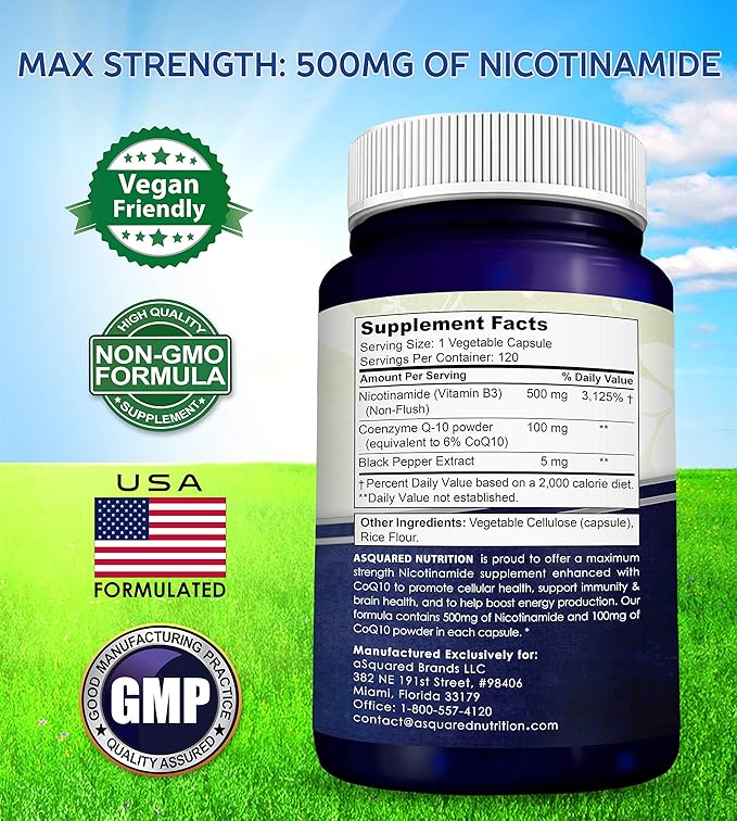 ニコチンアミド CoQ10配合 (120カプセル) - ビタミンB3 500mg (ナイアシンアミド フラッシュフリー) - コエンザイムQ10パウダー - エネルギー、NAD、皮膚細胞の健康をサポートするVIT B-3 & Coq 10 サプリメント錠剤