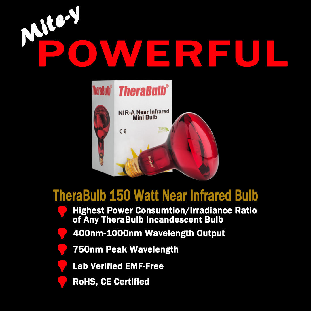 TheraBulb 150W Near Infrared Starter Kit-240V